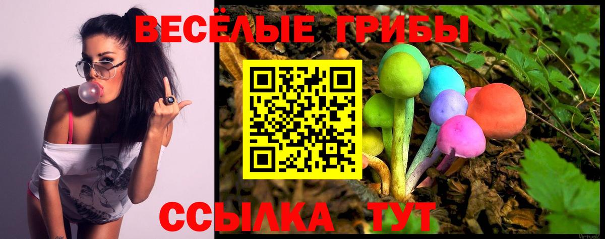 Галлюциногенные грибы прущие грибы  Вход с VPN  цена   Череповец 