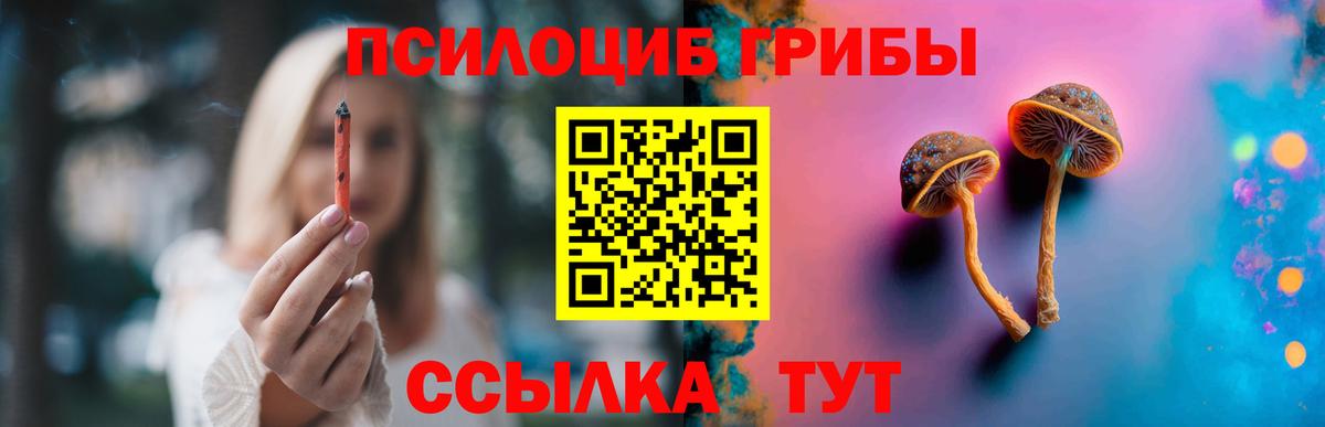 Галлюциногенные грибы Magic Shrooms Череповец